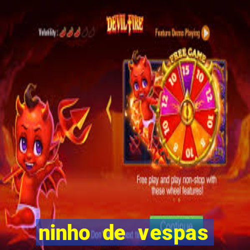 ninho de vespas significado espiritual